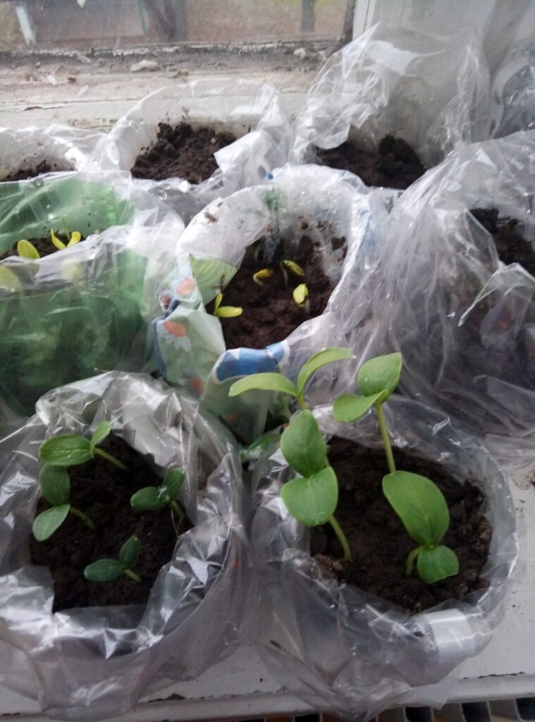 School Agri Tuinproject