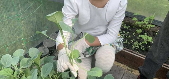 Elkaar helpen en dan groeien is de opdracht