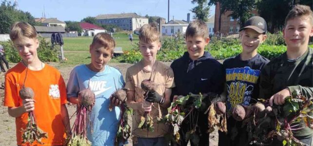 Herfstseizoen en Opbrengsten