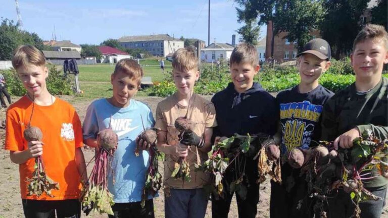 Herfstseizoen en Opbrengsten