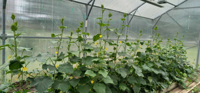 Kijk! Kijk Wat een beauty!!!