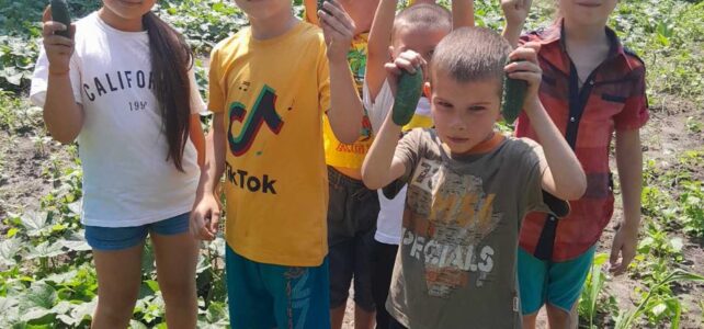 De vrucht van liefde