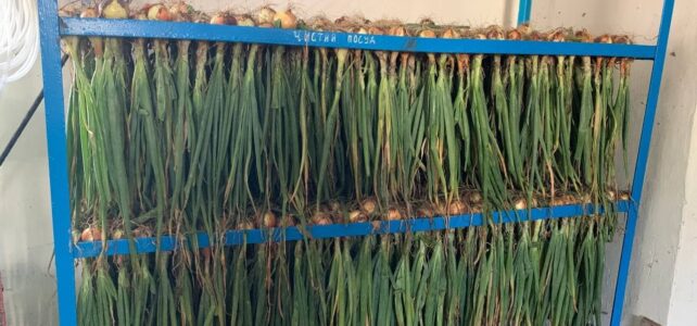 Vrede brengen in Oekraïne, zaadje voor zaadje