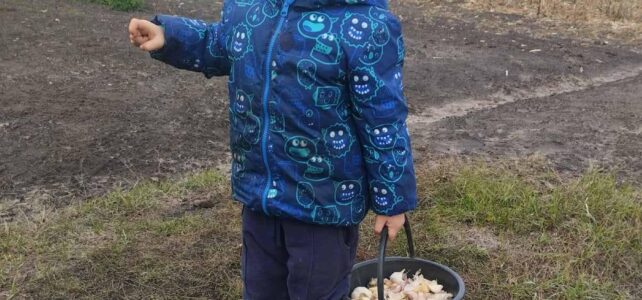 𝗧𝗿𝗼𝘁𝘀! 𝗕𝗶𝗷𝗻𝗮 𝟮𝟲 𝘁𝗼𝗻 𝗮𝗮𝗻 𝗼𝗽𝗯𝗿𝗲𝗻𝗴𝘀𝘁𝗲𝗻.